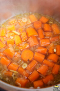 sliced carrots, onions, garlic and broth steaming in an instant pot