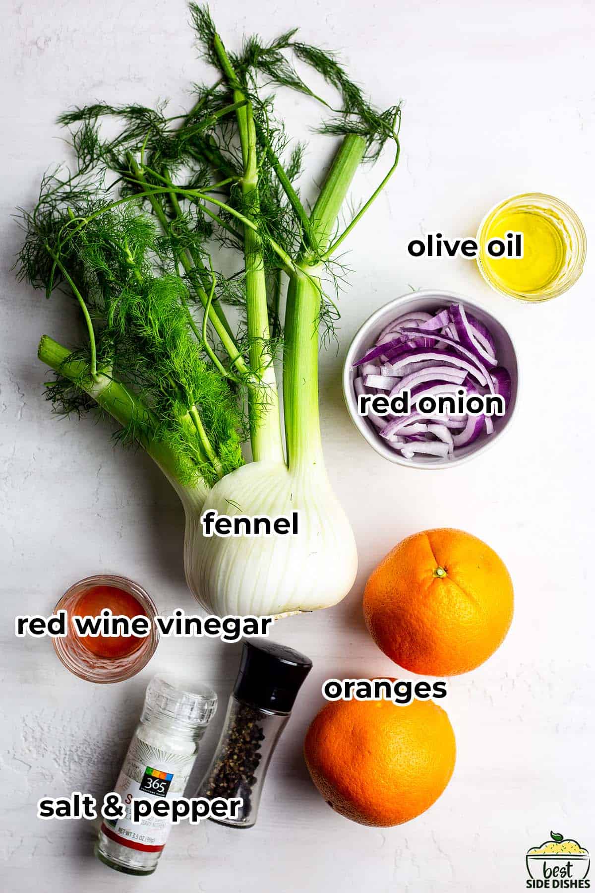 ingredients to make fennel and orange salad with labels on a white surface