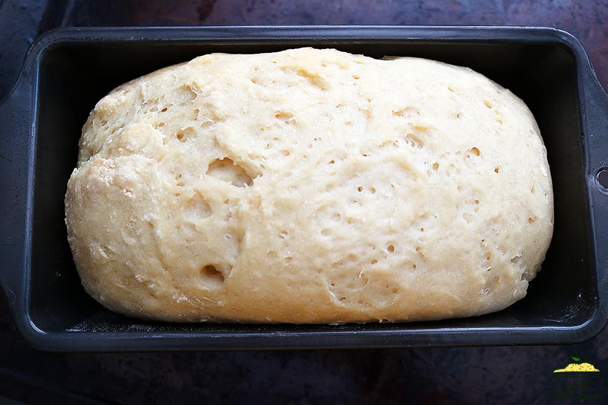 bread inside loaf pan