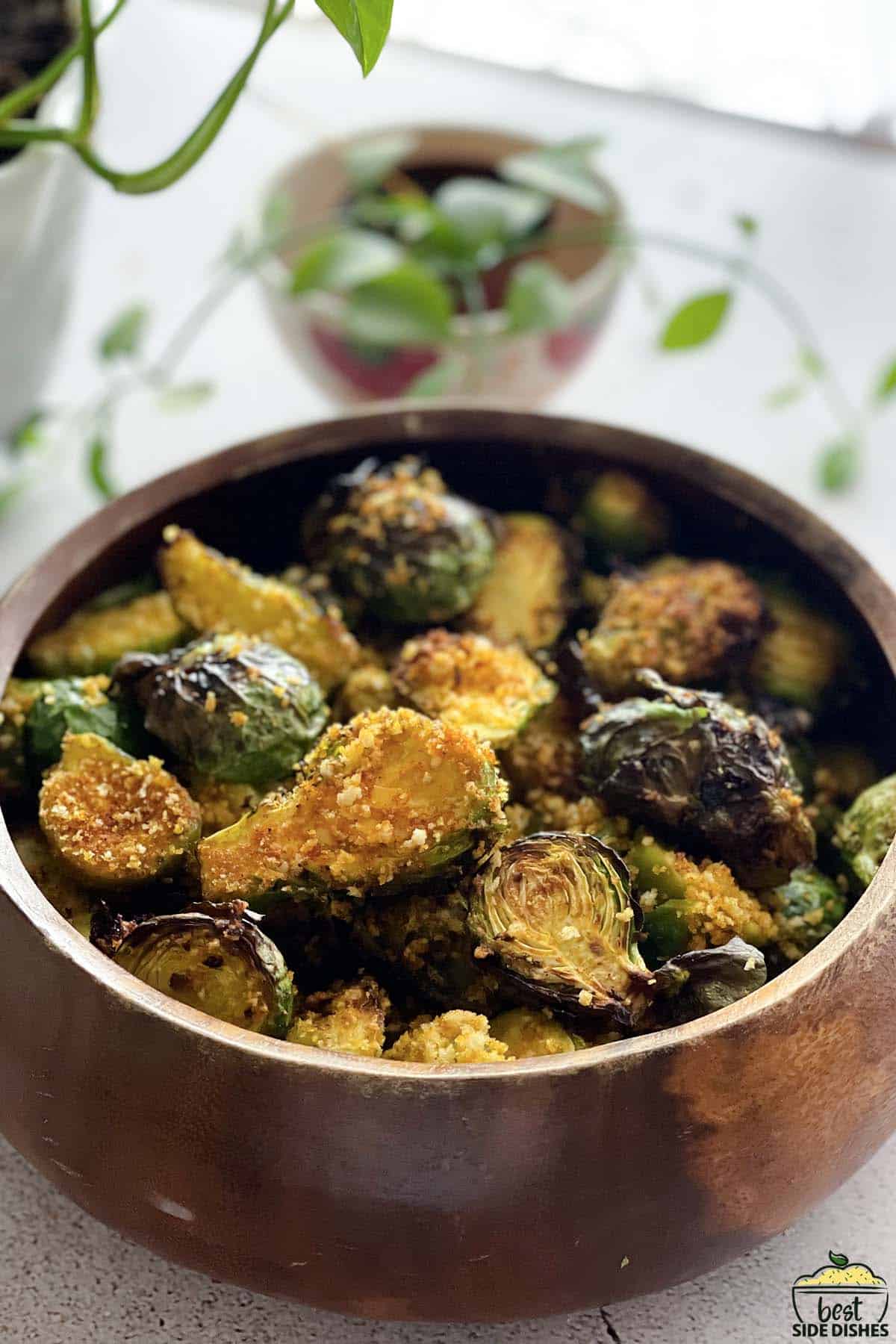 air fried brussels sprouts up close in a bowl