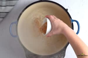 adding chicken bouillon seasoning in a pot of boiling water