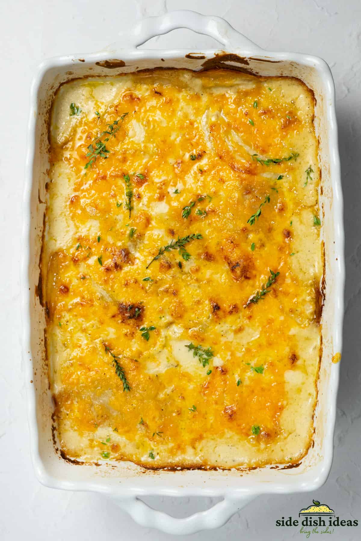 scalloped potatoes in a white baking dish