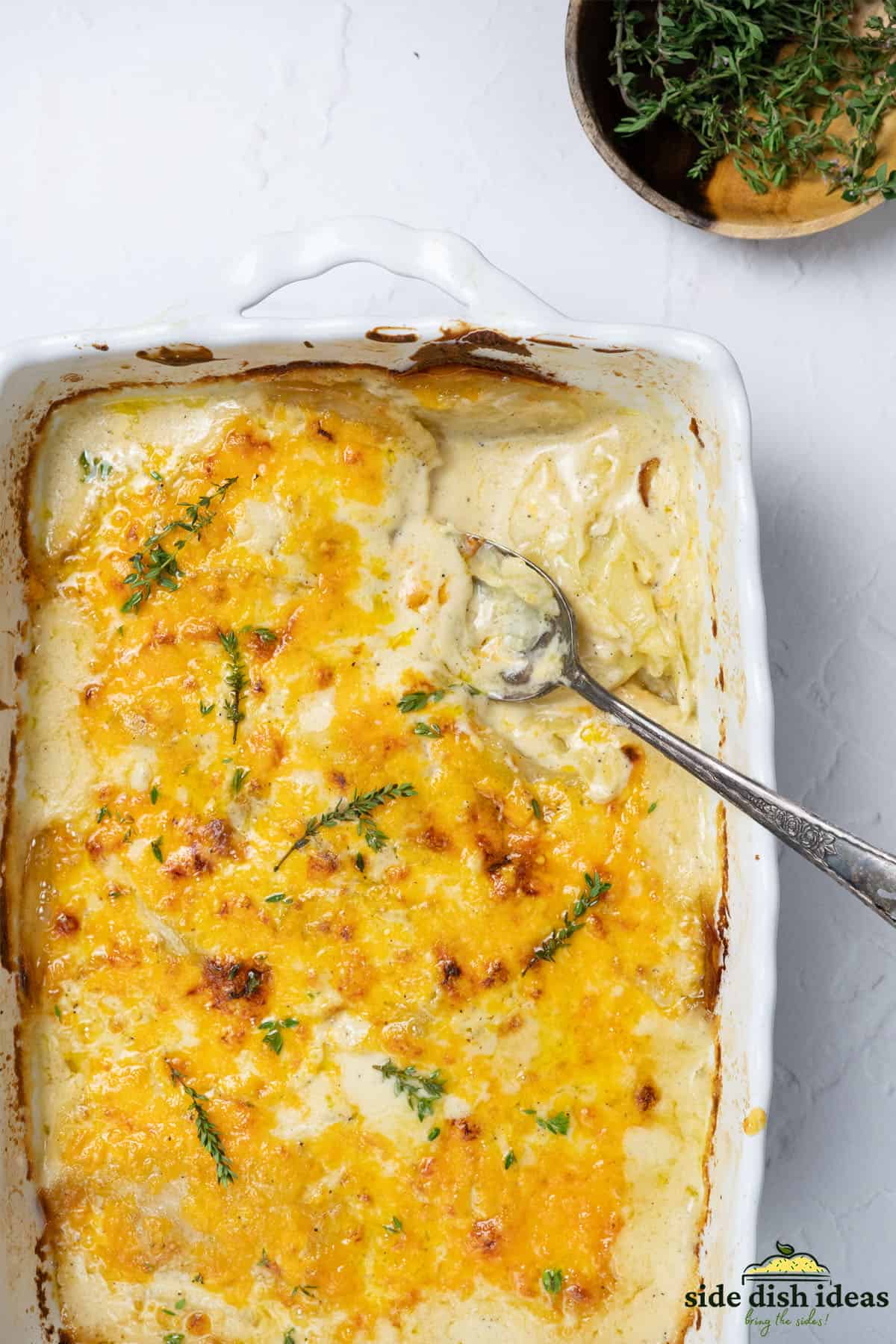a spoon inside of scalloped potatoes in a white baking dish with fresh thyme on the side